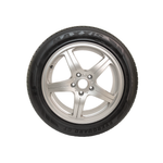 Maxxis ERGT EVERGUARD GT 225/55R18 98V