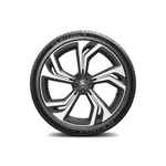 Michelin PILOT SPORT 4 SUV 265/50R19 110Y XL