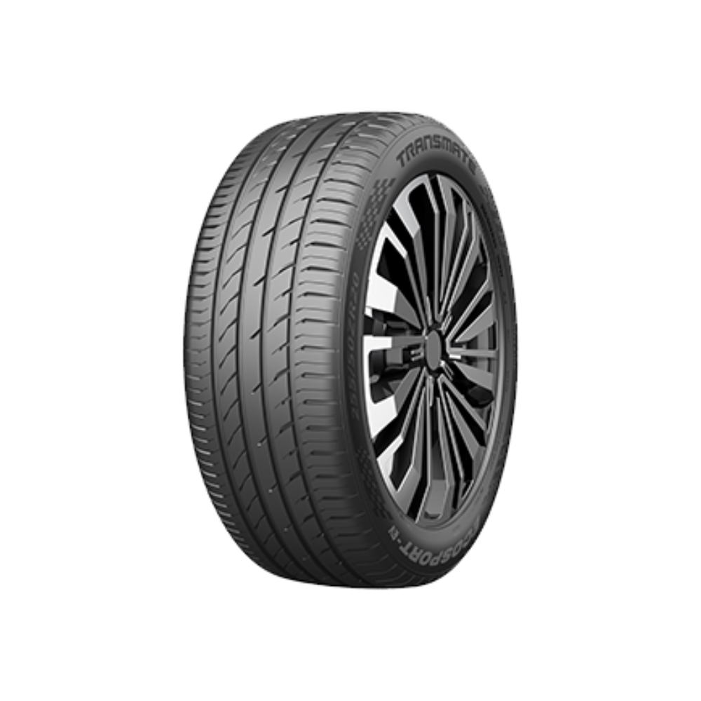 Transmate ECOSPORT 255/45R19 100V